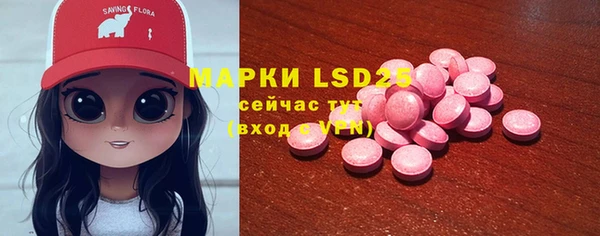ПСИЛОЦИБИНОВЫЕ ГРИБЫ Горнозаводск