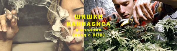 ПСИЛОЦИБИНОВЫЕ ГРИБЫ Горнозаводск