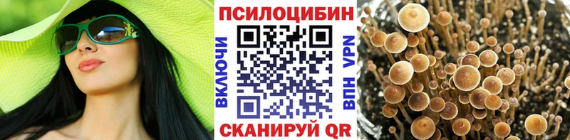 Галлюциногенные грибы мицелий  купить   Весьегонск 